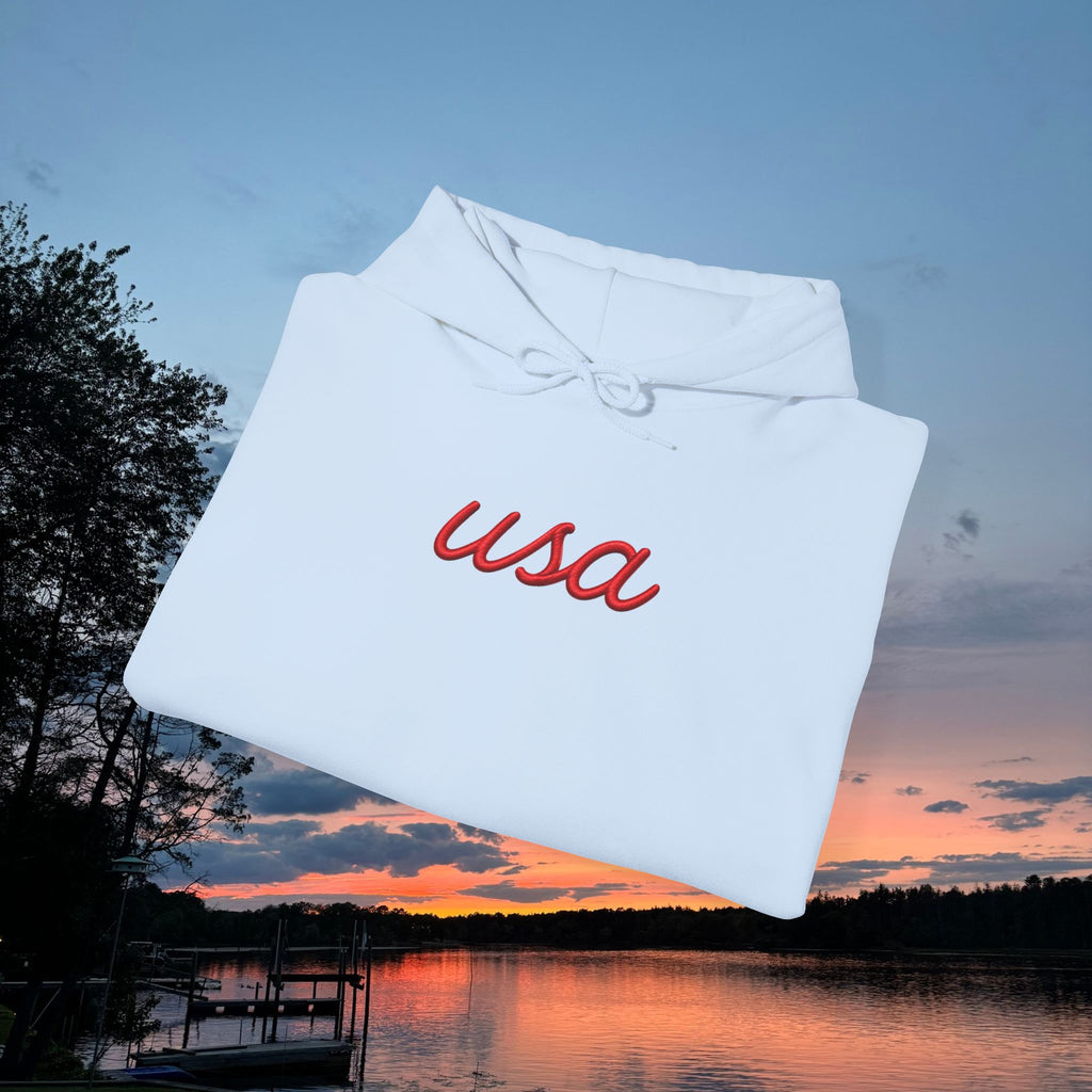 Americana Flag Hoodie- Light Blue