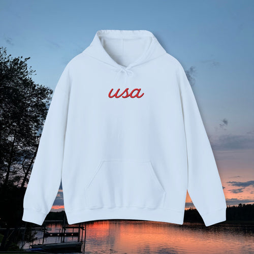 Americana Flag Hoodie- Light Blue